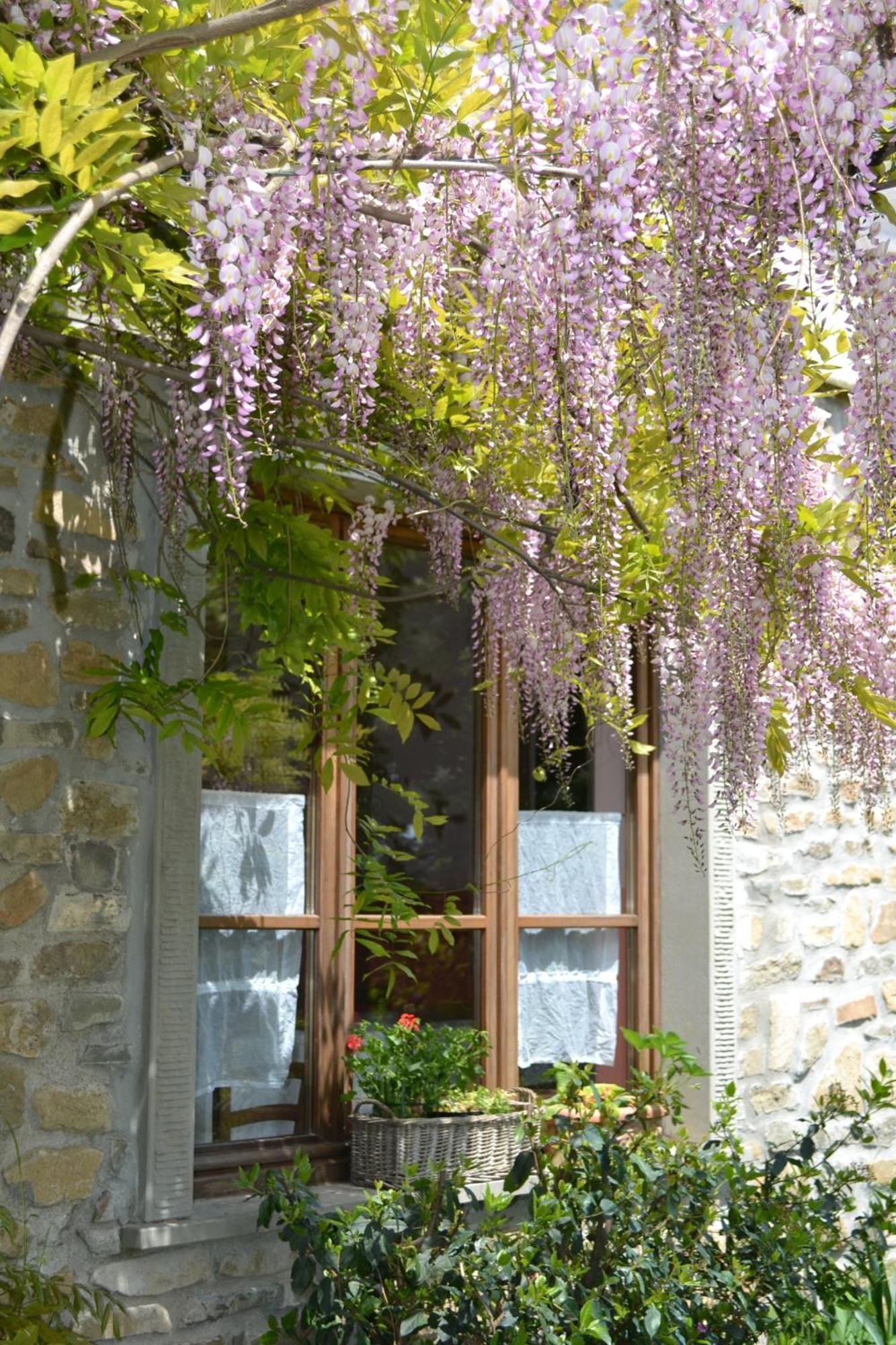 Agriturismo Saudon Mulazzo Extérieur photo